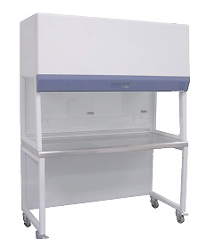 e311a1c608aa5deb49cf94f80f2b9165.png